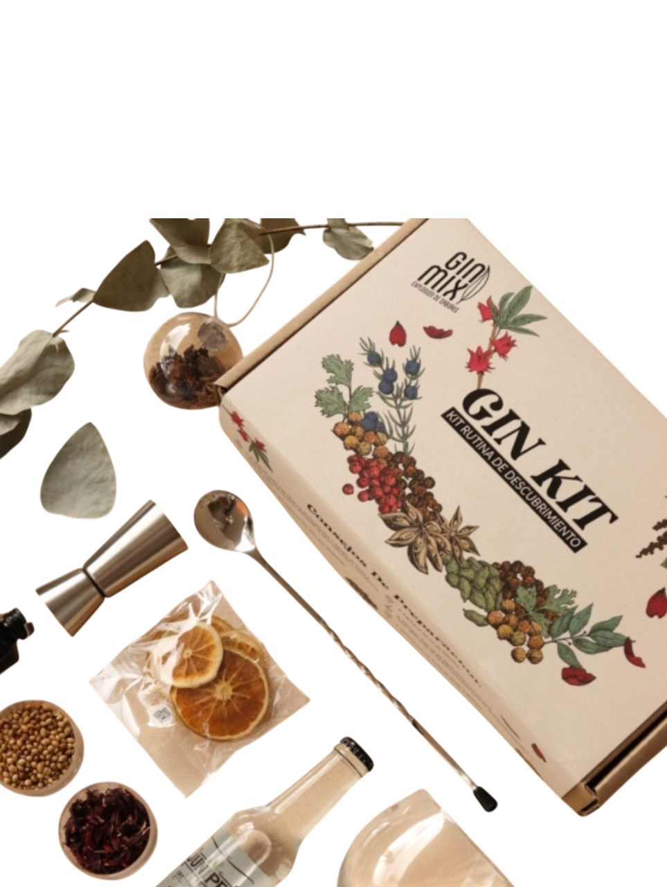 KIT RUTINA DE DESCUBRIMIENRO GIN MIX