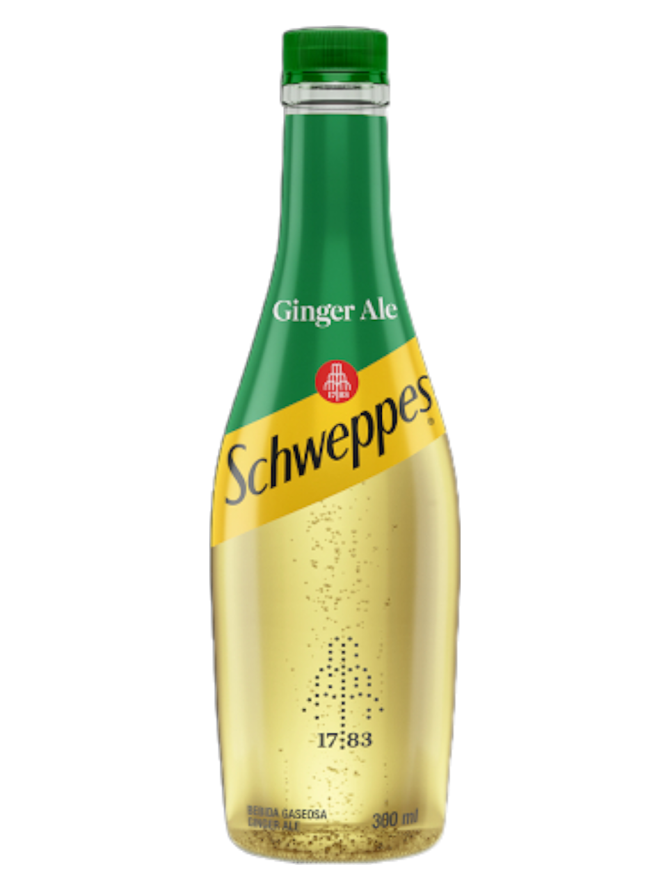 SCHWEPPES GINGER 300ML