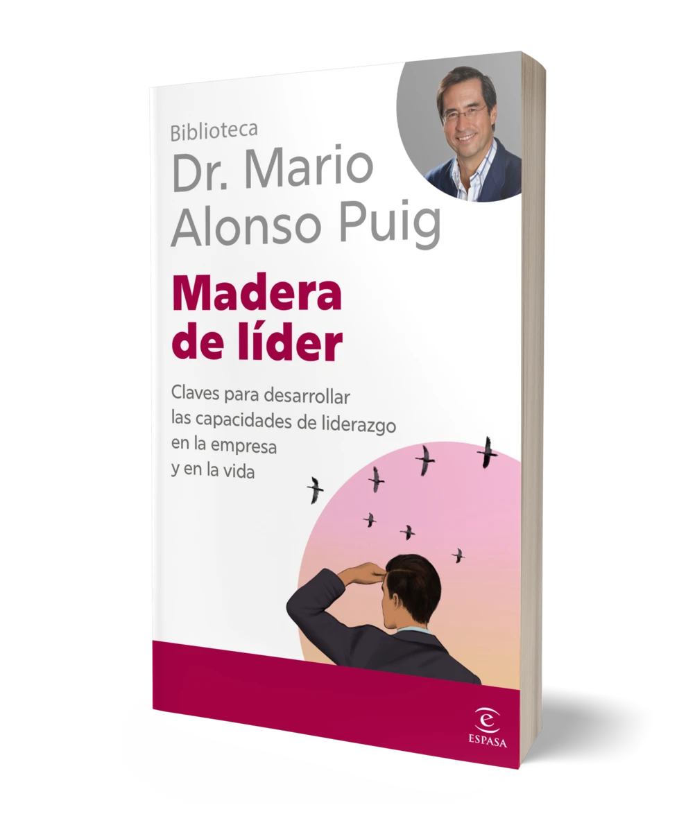 LIBRO MADERA DE LIDER